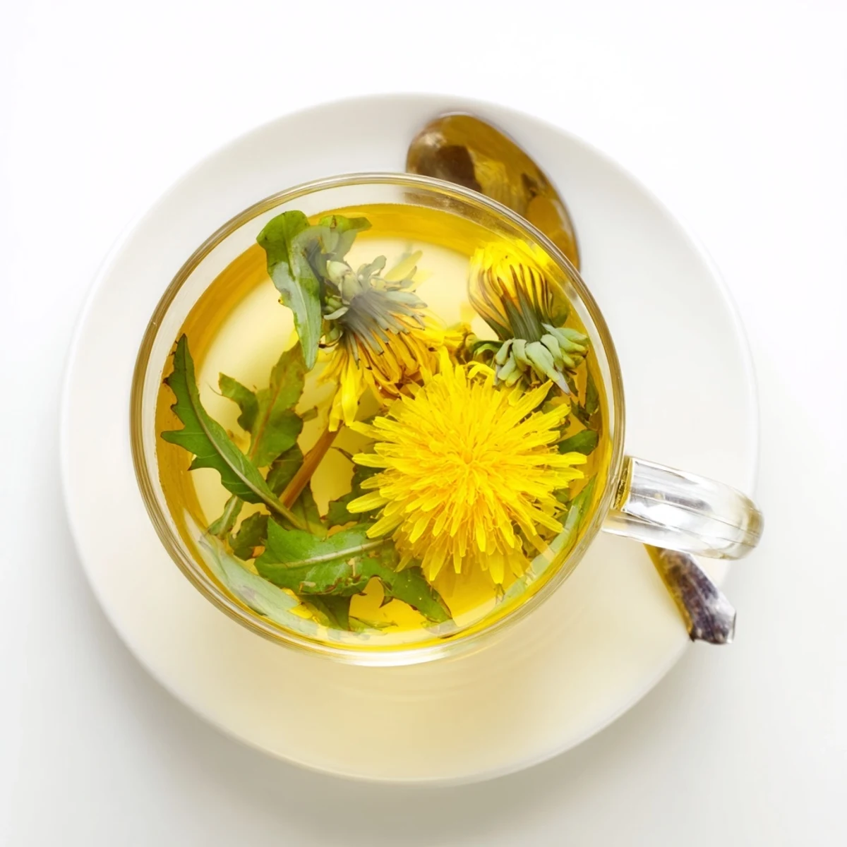 Clear glass of earthy dandelion infusion garnished with lemon slice and honey drizzle on rustic table
